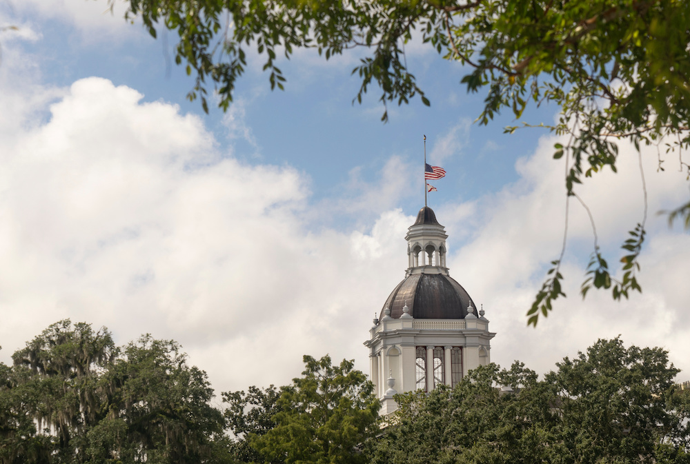 Moss Grows on Trees Framing the Capital Building in Tallahasse Florida